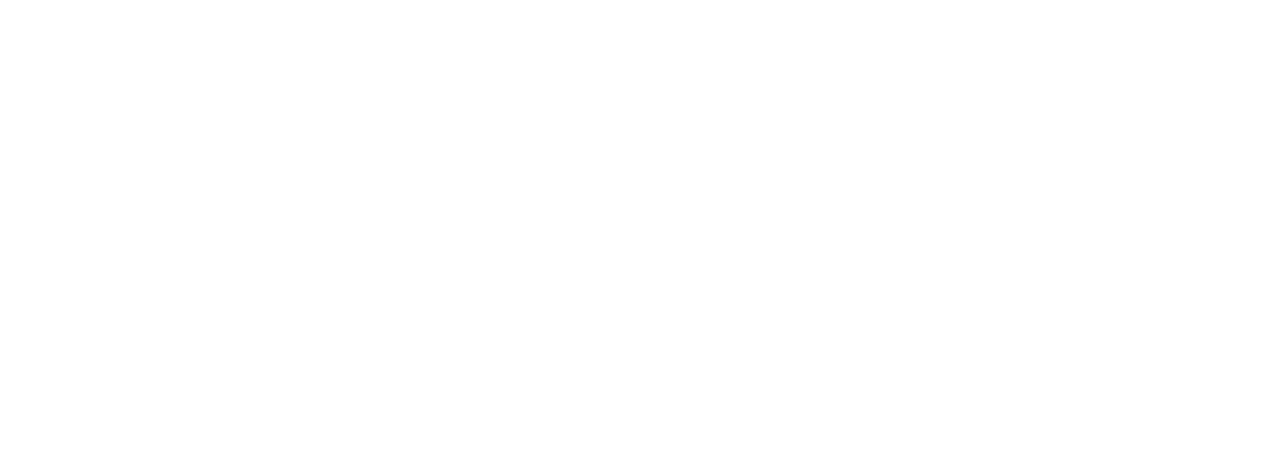 SHADOW_MTN_logo_WHT