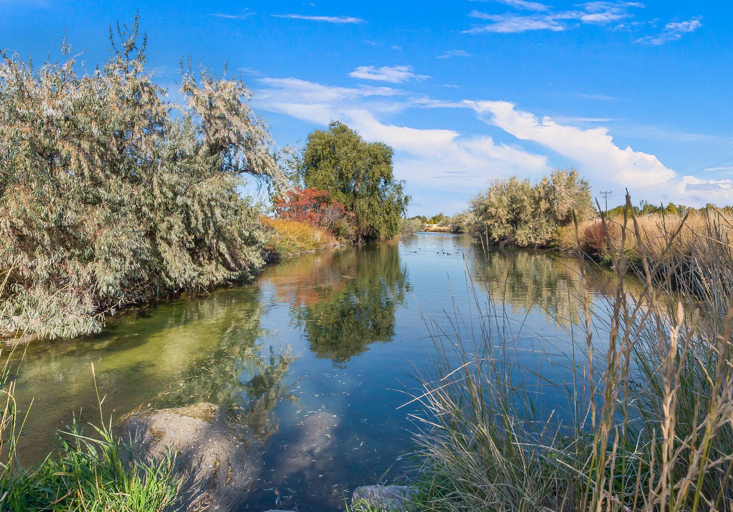 47-Wilsons Pond and Nampa Greenbelt