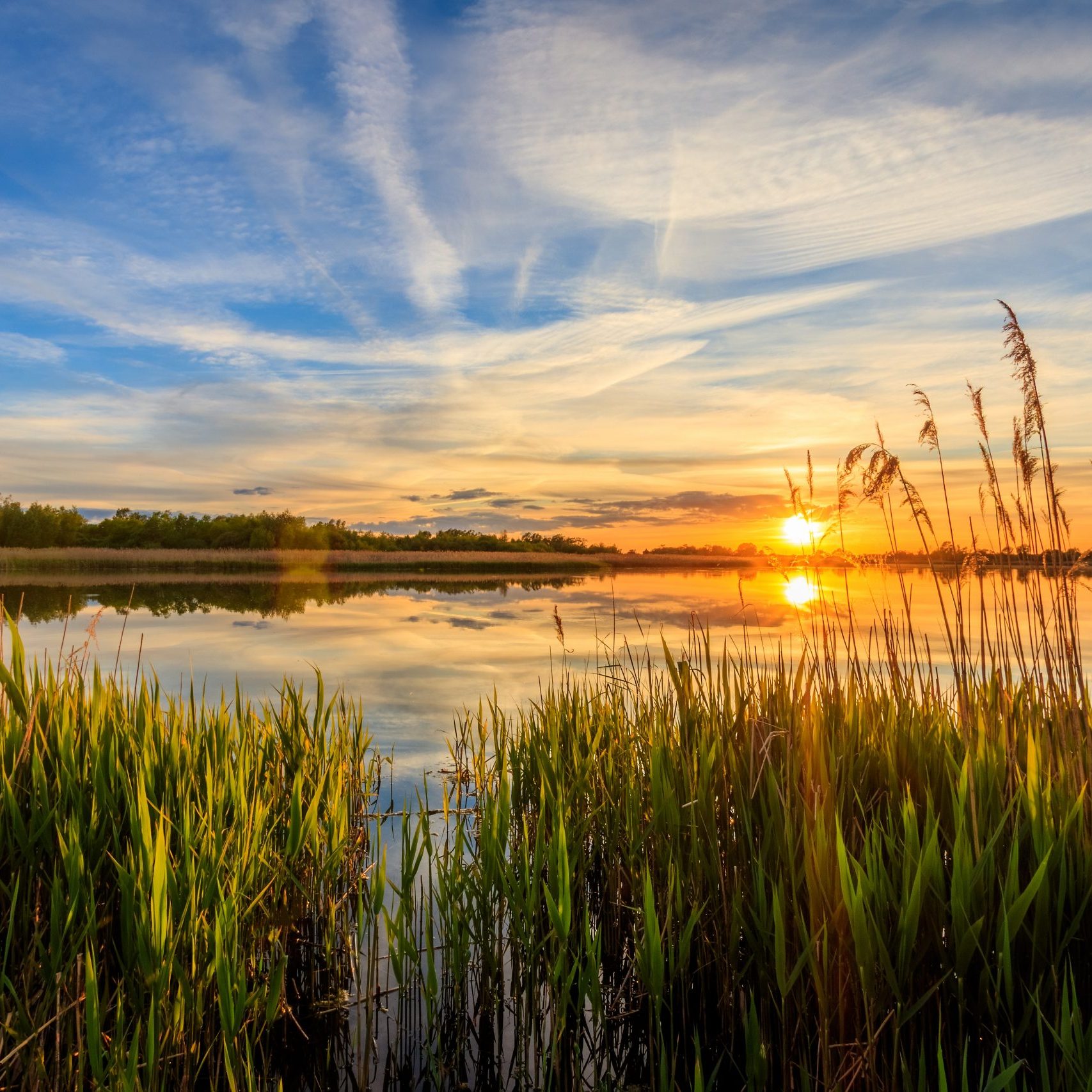 Pond at sunset